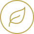 Leaf Icon